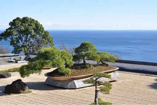 日本庭園「天翔」の写真